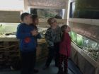 ŠD - Akvárium Česká Lípa, Základní škola Aloise Klára Úštěk, foto:16
