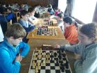 Okresní turnaj družstev v šachu ( Gv ), Základní škola Aloise Klára Úštěk, foto:4