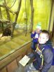 ŠD-výlet do ZOO Ústí nad Labem, Základní škola Aloise Klára Úštěk, foto:2