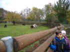 ŠD-výlet do ZOO Ústí nad Labem, Základní škola Aloise Klára Úštěk, foto:4