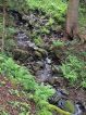 Ozdravný pobyt žáků 1. - 4. třídy, Základní škola Aloise Klára Úštěk, foto:10