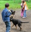 Výcvik psů, Základní škola Aloise Klára Úštěk, foto:8